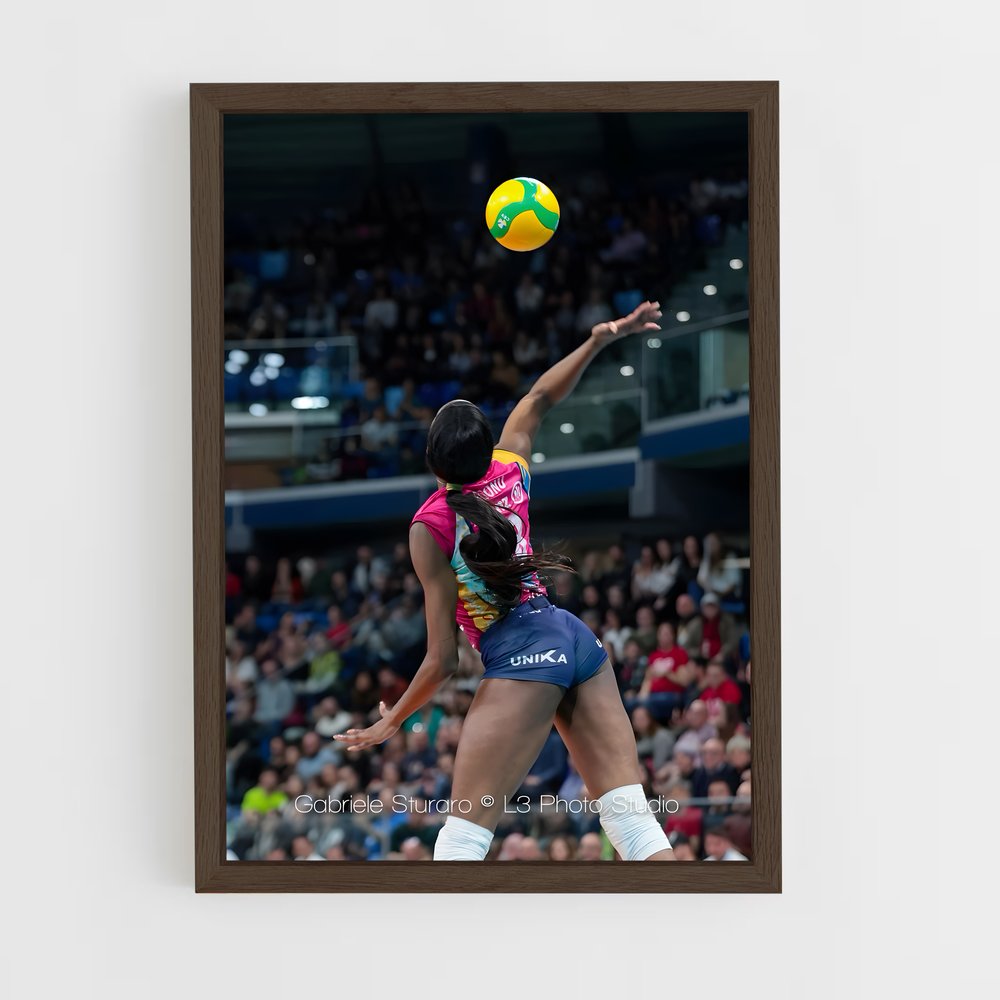 Poster L'Envol d'Egonu – affiche Volleyball (vue 5)